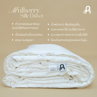 Mulberry Silk Duvet (Cotton Shell) - ไส้ผ้านวมใยไหมมัลเบอร์รี่ ผ้าหุ้มคอตตอน